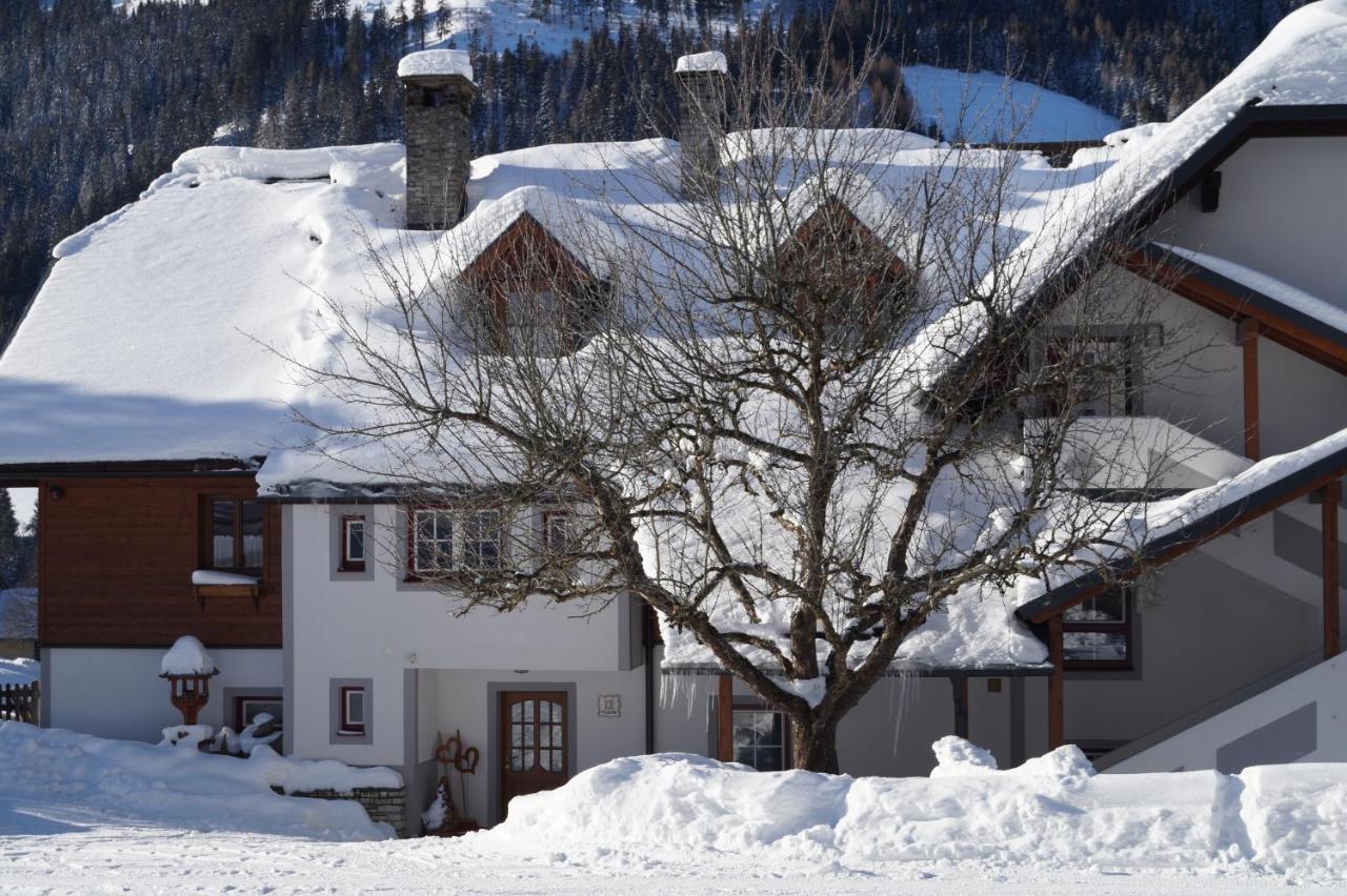 Biobauernhof Spieszschweiger Villa Sankt Nikolai im Sölktal Exteriör bild