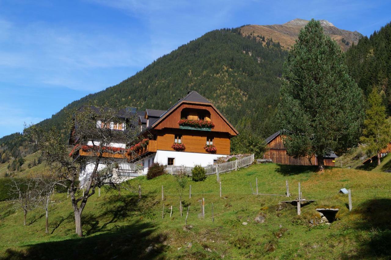 Biobauernhof Spieszschweiger Villa Sankt Nikolai im Sölktal Exteriör bild