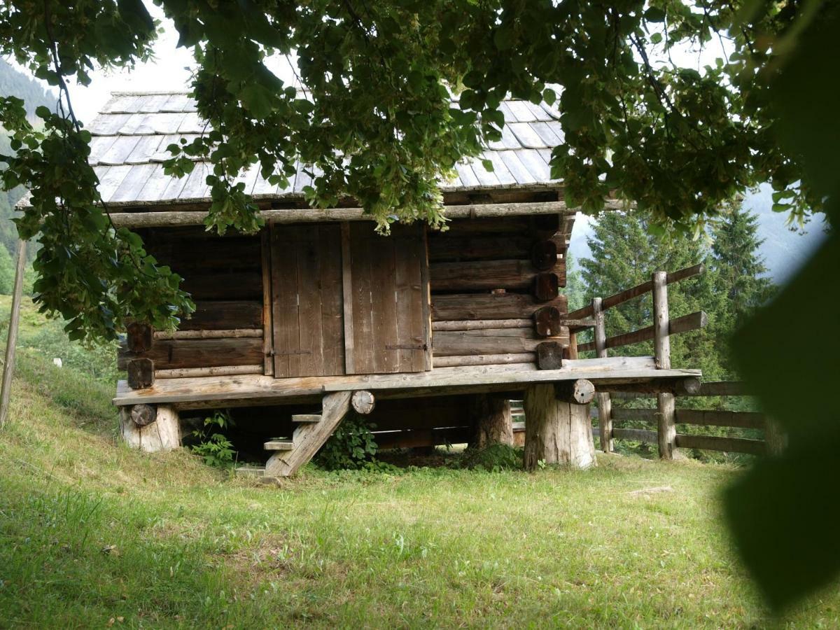 Biobauernhof Spieszschweiger Villa Sankt Nikolai im Sölktal Exteriör bild
