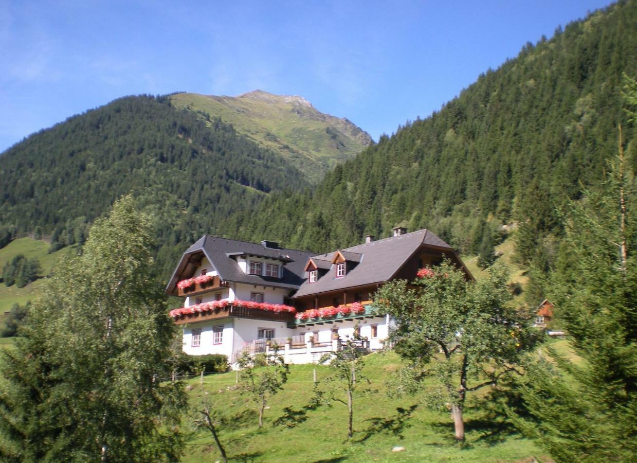 Biobauernhof Spieszschweiger Villa Sankt Nikolai im Sölktal Exteriör bild